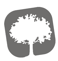 Abonnement - Membre Collectif Silver